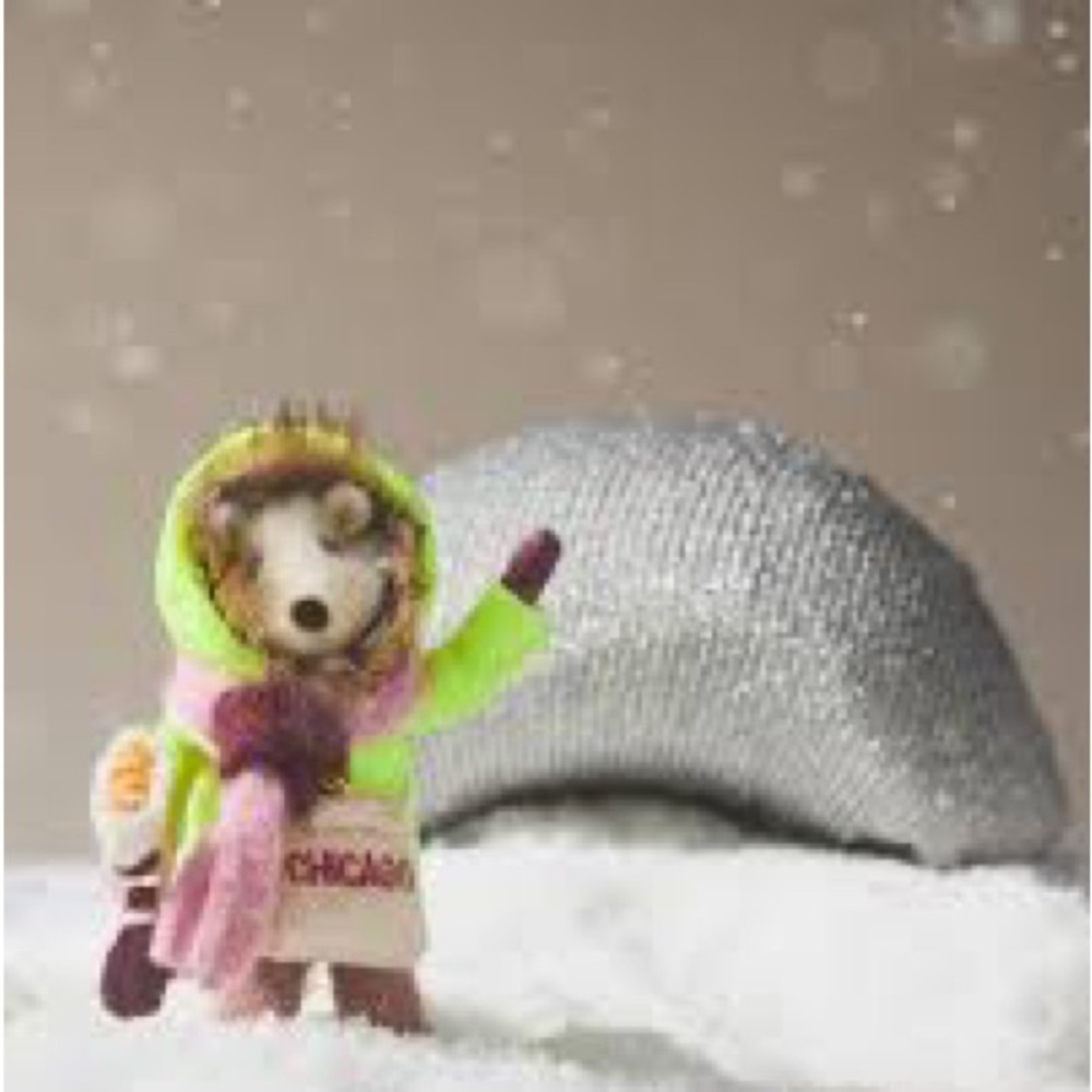 Anthropologie Traveling Critter Chicago New With Tag